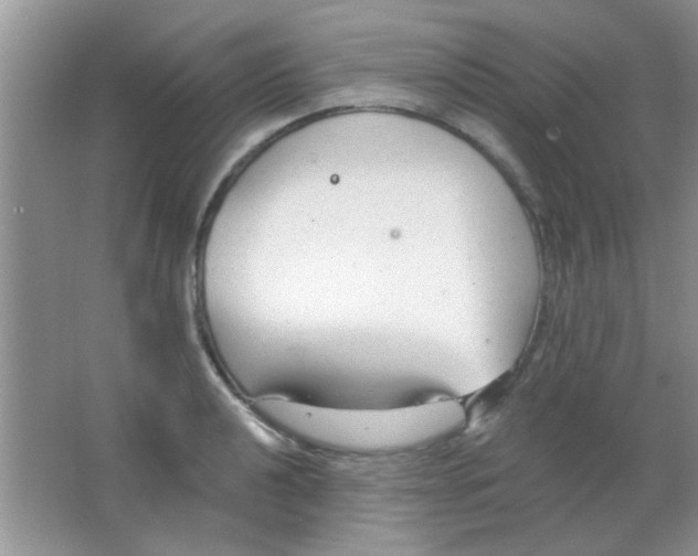 X0000063491040200602101828