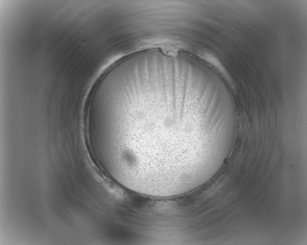 X0000063491043200602101828