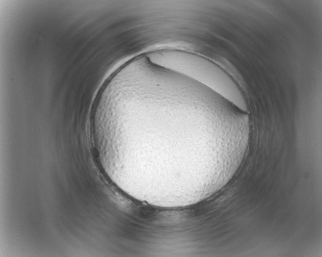 X0000063491044200602101828