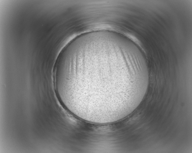 X0000063491047200602101828