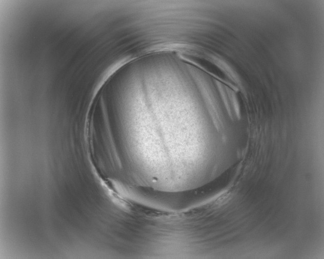 X0000063491050200602101828