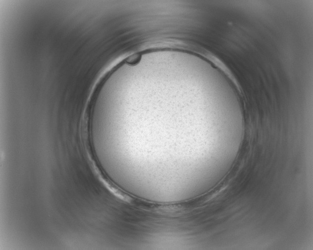 X0000063491053200602101828