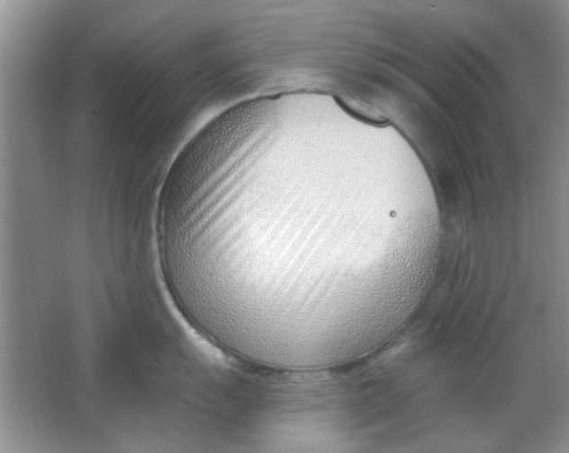 X0000063491055200602101828