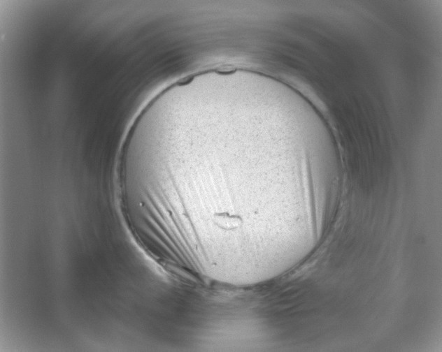 X0000063491056200602101828