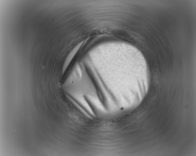 X0000063491060200602101827