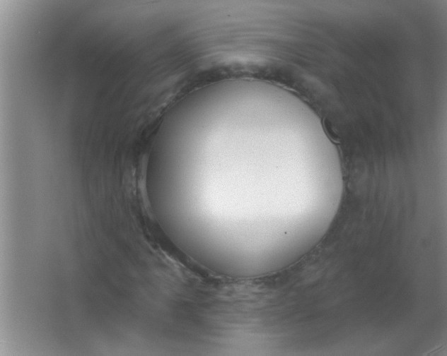 X0000063491061200602101827