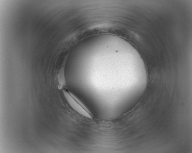 X0000063491062200602101827