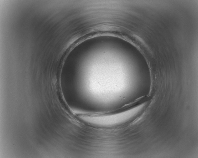 X0000063491065200602101827