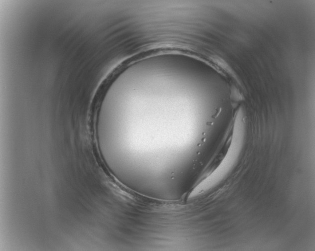 X0000063491068200602101827