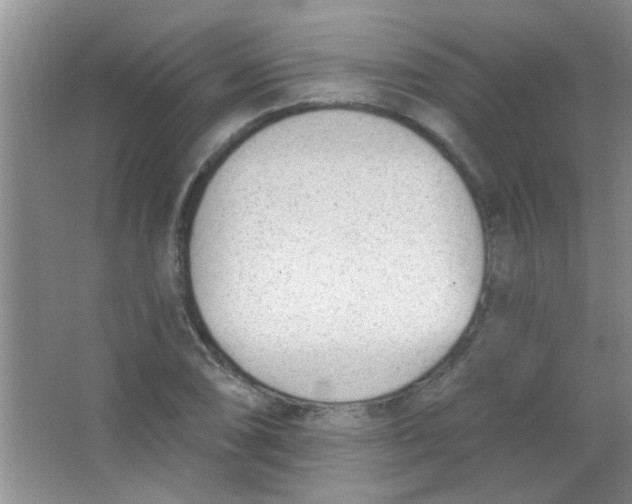 X0000063491074200602101827