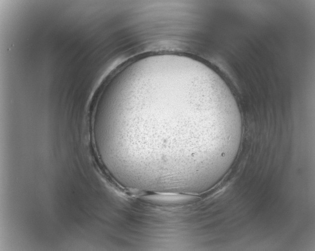 X0000063491075200602101827