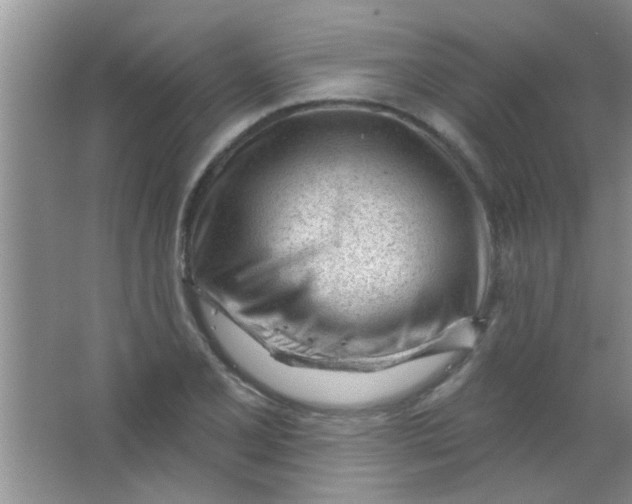 X0000063491077200602101827