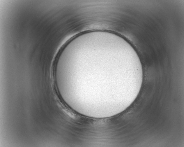 X0000063491078200602101827