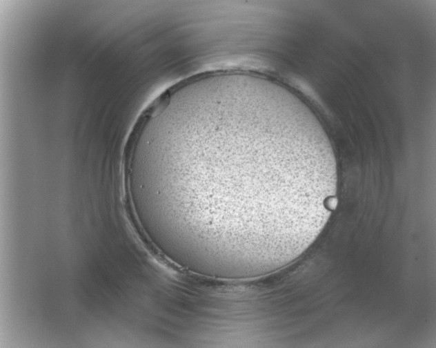 X0000063491079200602101827