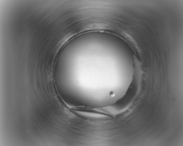 X0000063491081200602101827