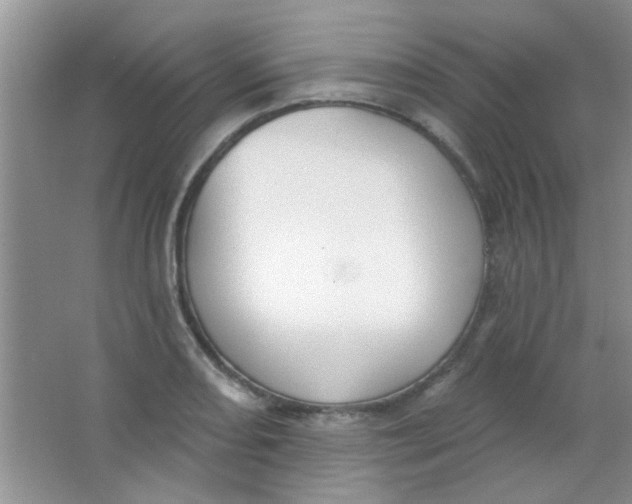 X0000063491082200602101827