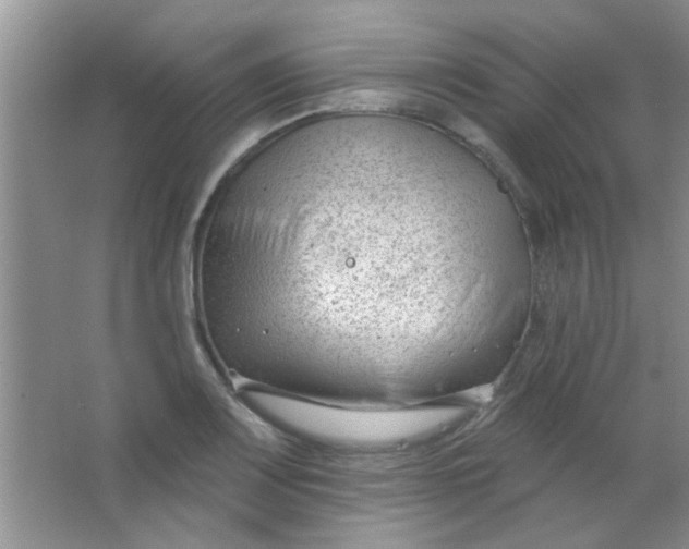 X0000063491083200602101827