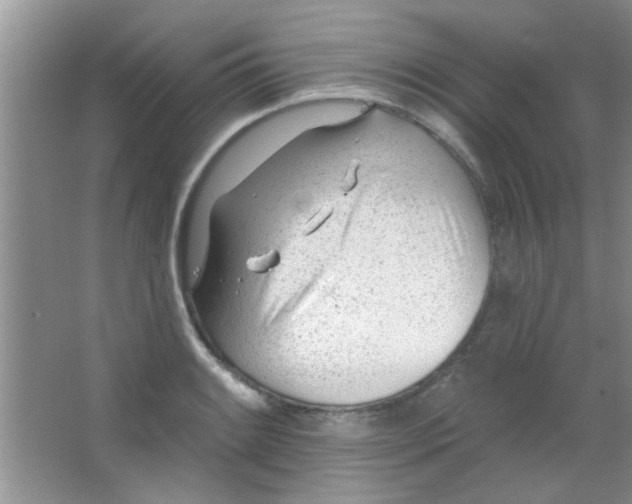 X0000063491084200602101827