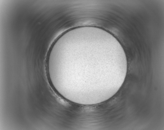 X0000063491086200602101827