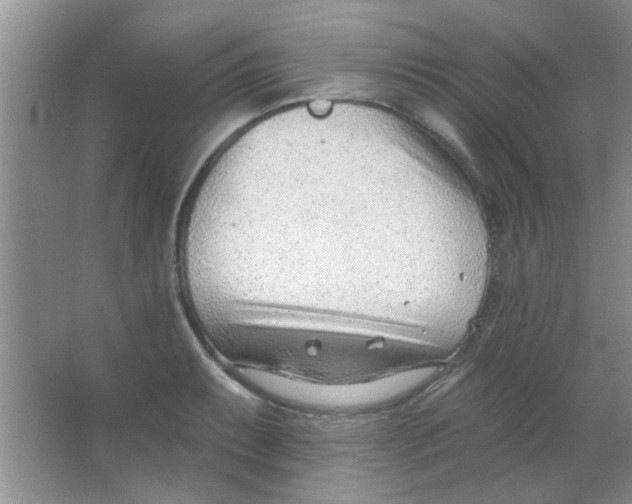 X0000063491087200602101827