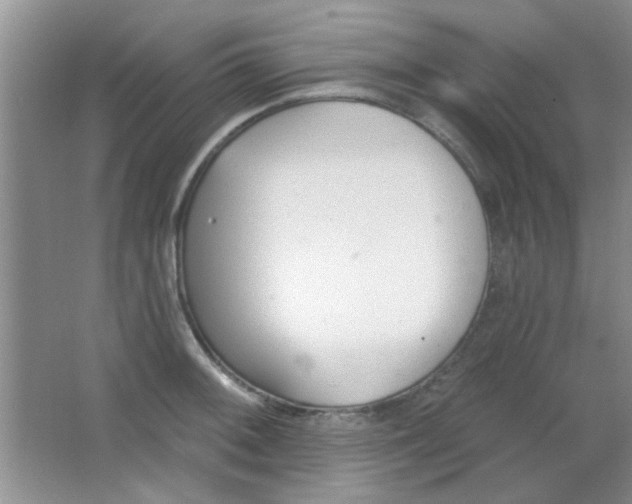 X0000063491092200602101827