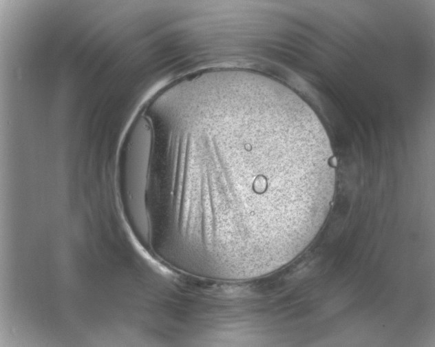 X0000063491095200602101827