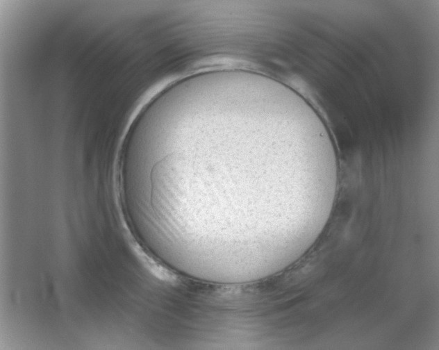 X0000063491098200602101827