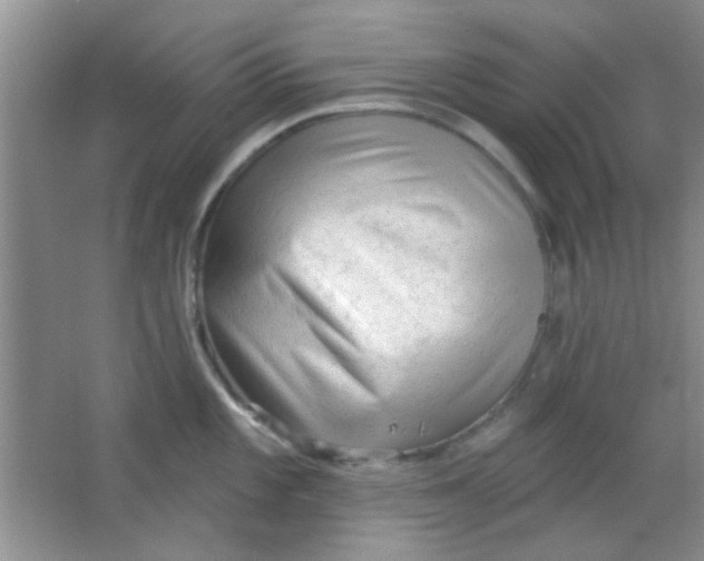 X0000063491101200602101826