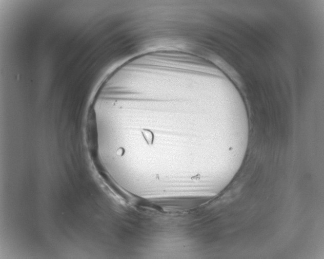 X0000063491104200602101826