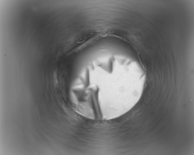 X0000063491106200602101826