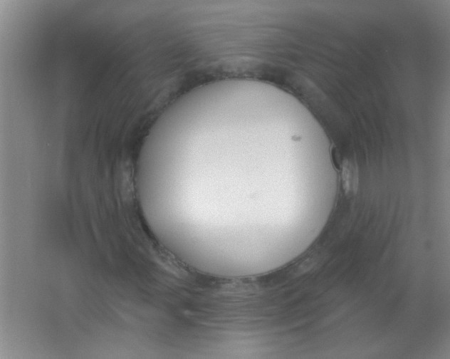 X0000063491107200602101826