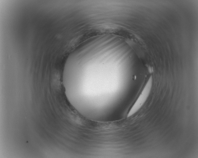 X0000063491108200602101826