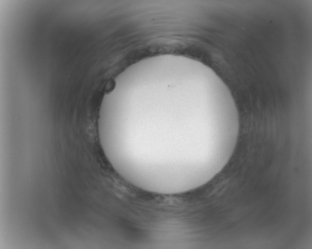 X0000063491109200602101826