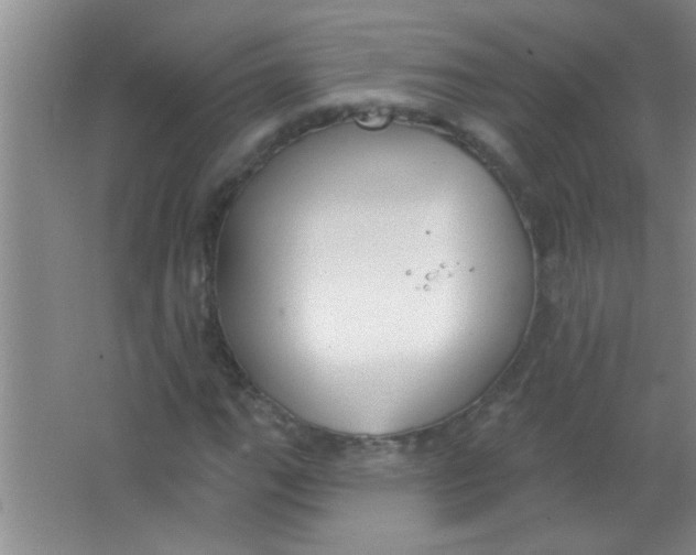 X0000063491111200602101826