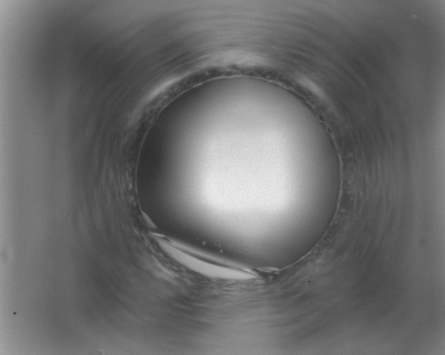 X0000063491112200602101826