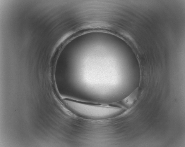 X0000063491114200602101826