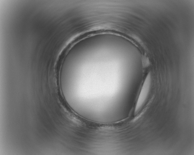 X0000063491118200602101826