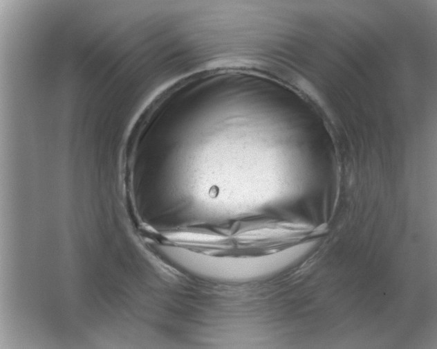 X0000063491124200602101826