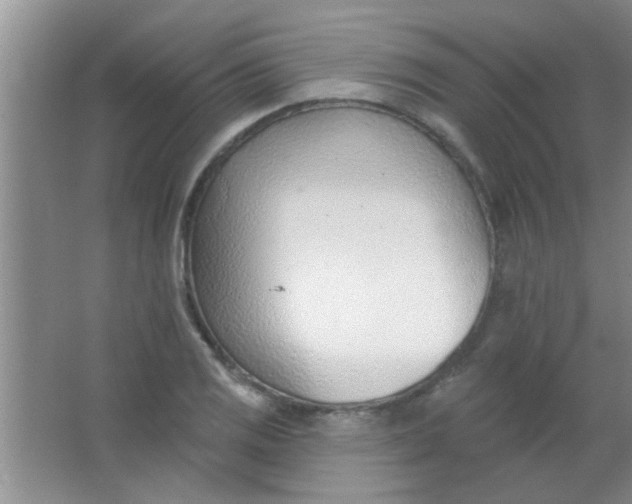 X0000063491125200602101826