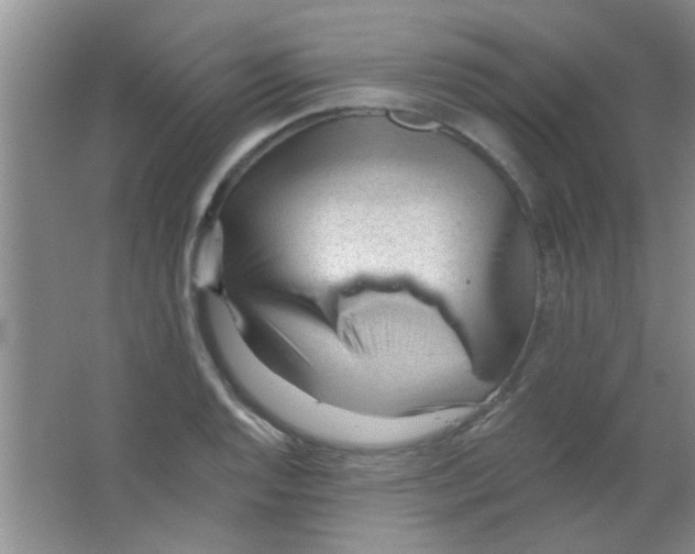 X0000063491128200602101826