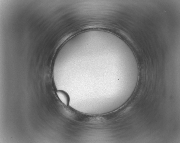 X0000063491129200602101826