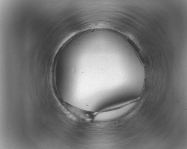 X0000063491134200602101826