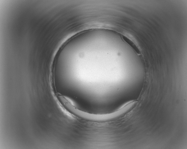 X0000063491136200602101826