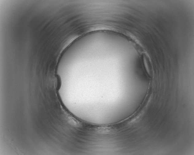 X0000063491137200602101826