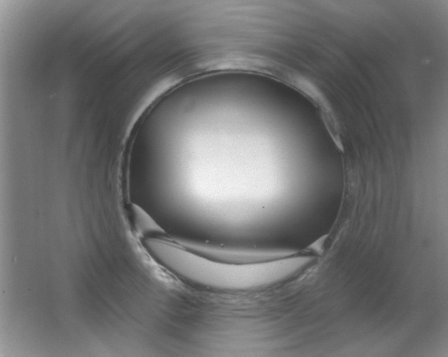 X0000063491138200602101826