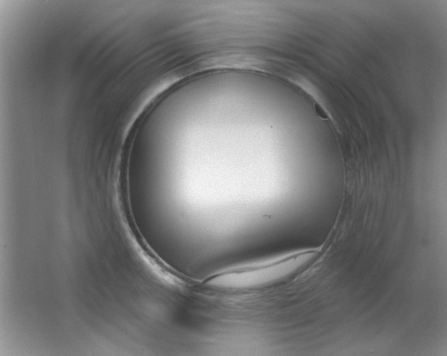 X0000063491139200602101826