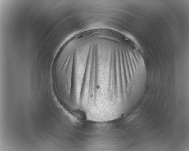 X0000063491142200602101826