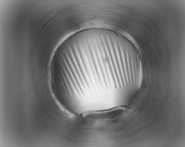 X0000063491144200602101826