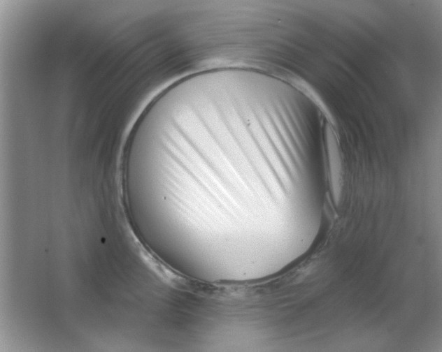 X0000063491148200602101826