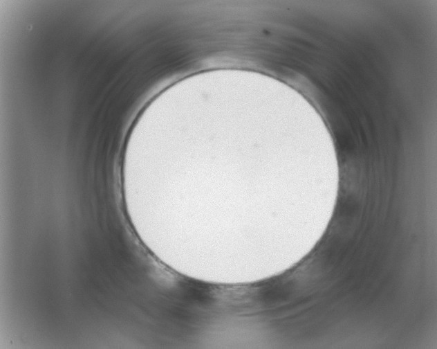 X0000063491150200602101826